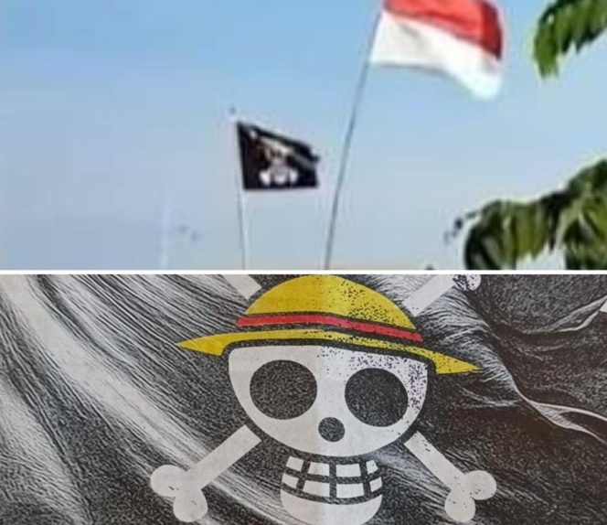 Ils.