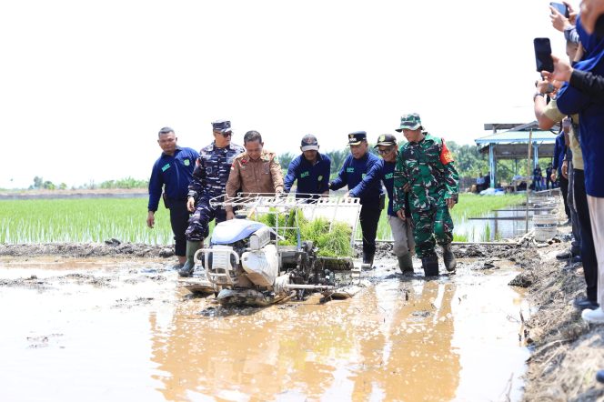 
					Bupati Asmar Pimpin Tanam Padi Serentak, Meranti Targetkan Kemandirian Pangan.