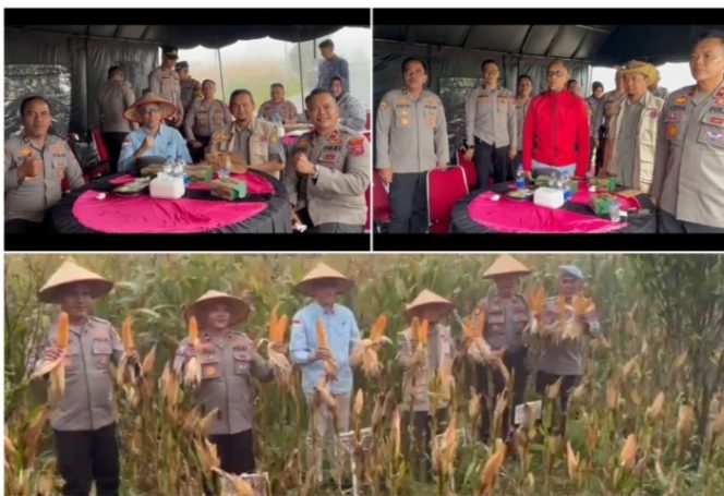 
					Kapolres Solok Laksanakan Panen Raya Jagung Serentak Kuartal I di Sukarami Kabupaten Solok 2026, Ini Penjelasanya,